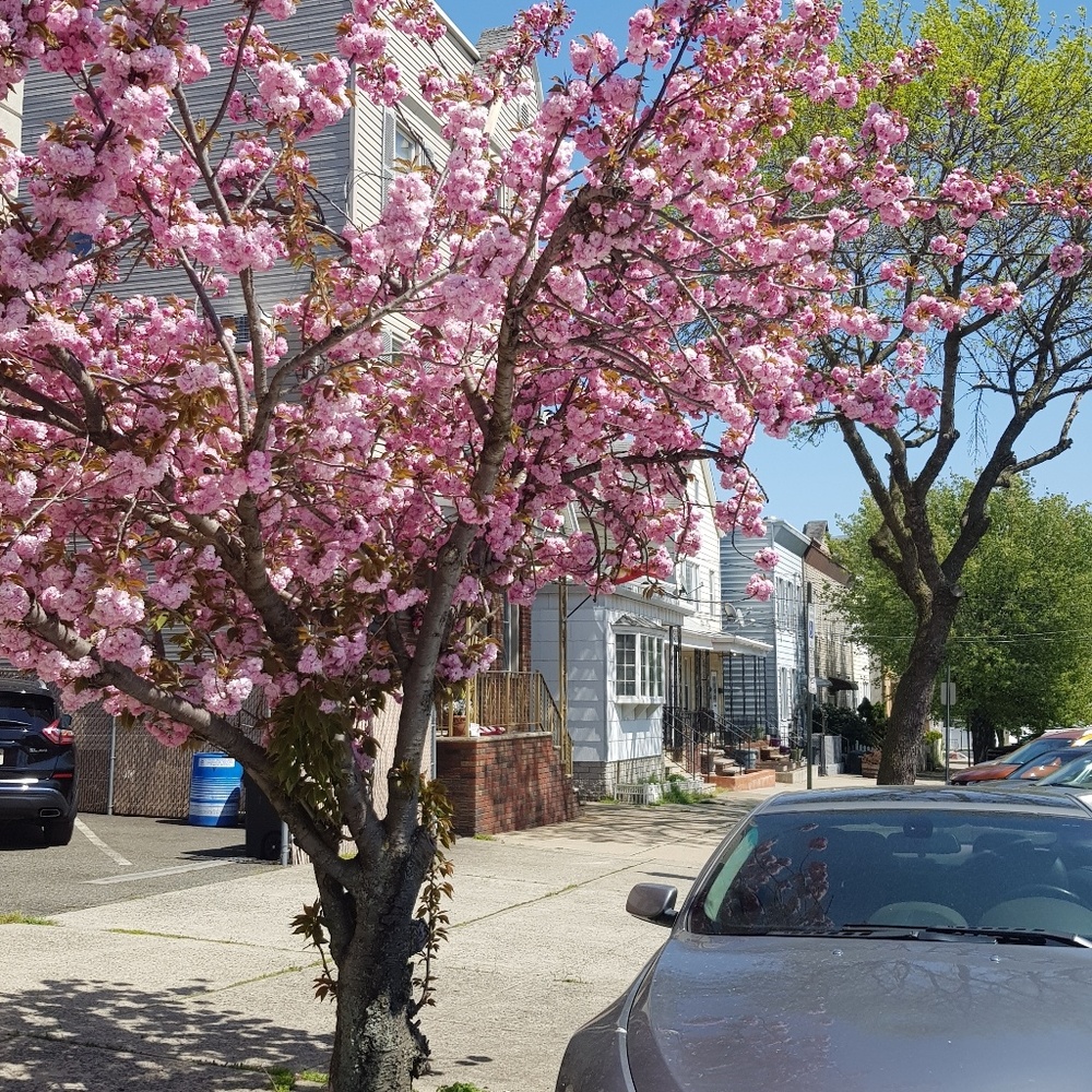 Meet your Posher, Nehal